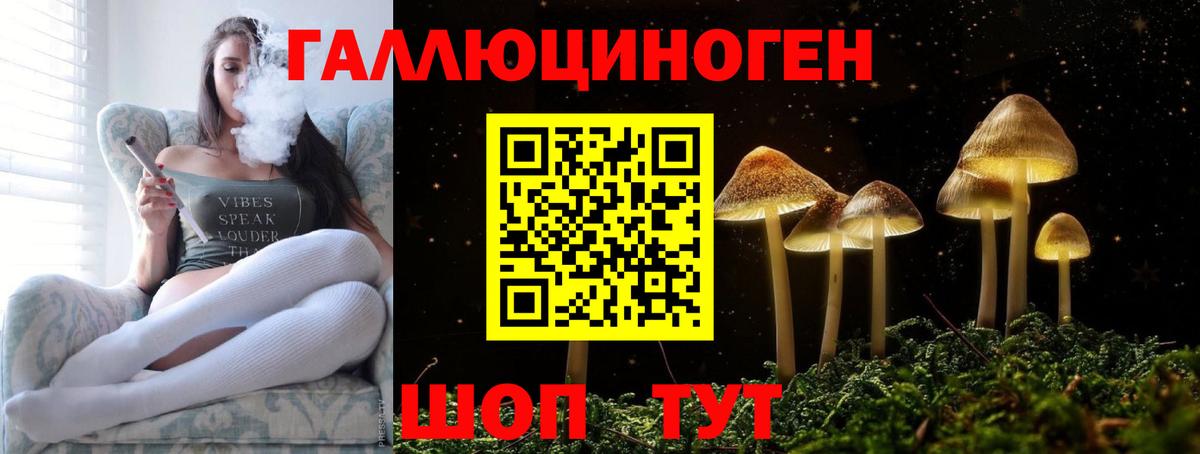 Псилоцибиновые грибы прущие грибы  Вход с VPN  Канаш 